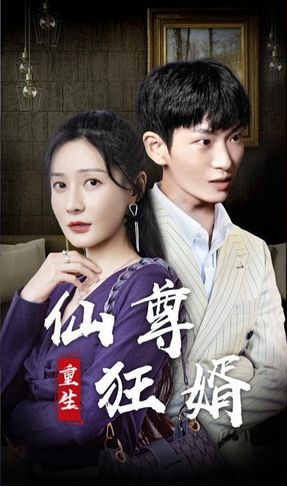 重生仙尊狂婿 第02集