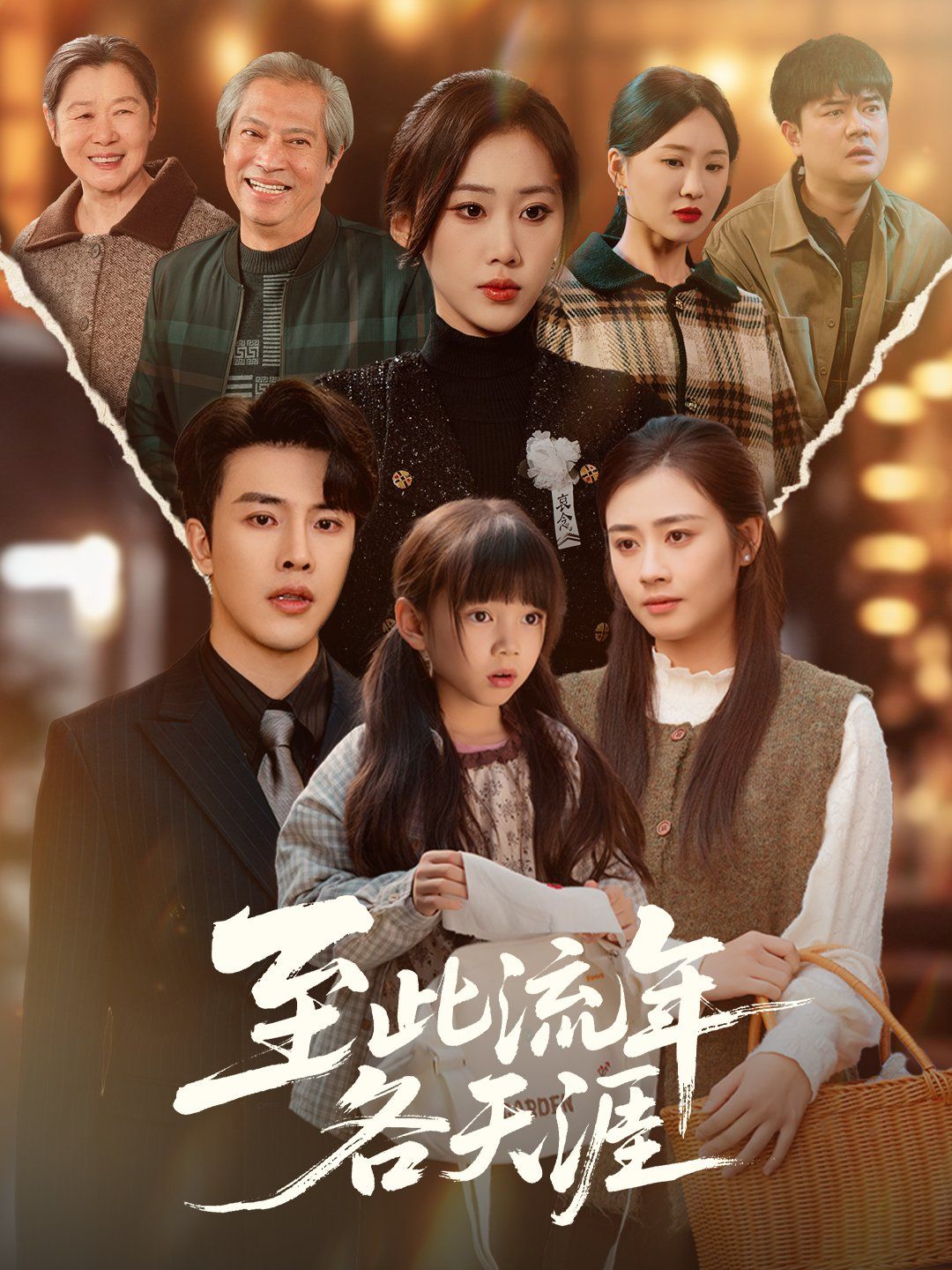 至此流年各天涯(全集)