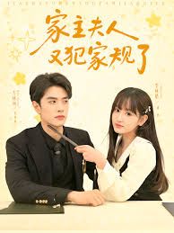家主夫人又犯家规了(全集)