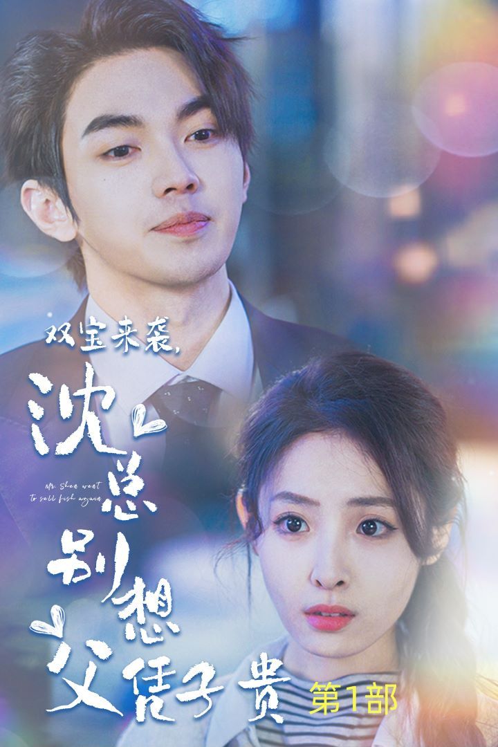 双宝来袭沈总别想父凭子贵（报告妈咪便宜爹地竟是总裁） 第41-60集