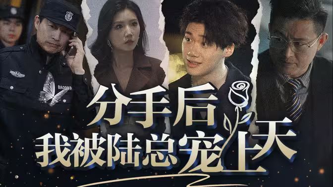 分手后，我被陆总宠上天 第1-40集