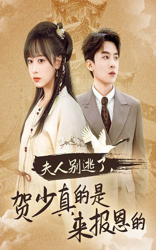 夫人别逃了贺少真的是来报恩的 第01集