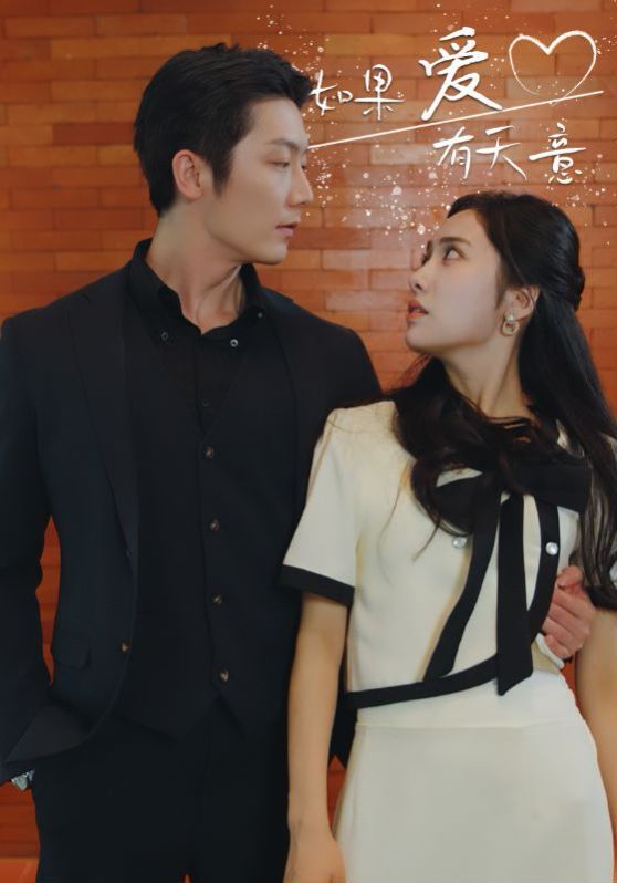 新如果爱有天意 第61-80集完结(大结局)