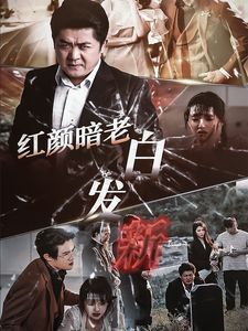 红颜暗老白发新 第04集