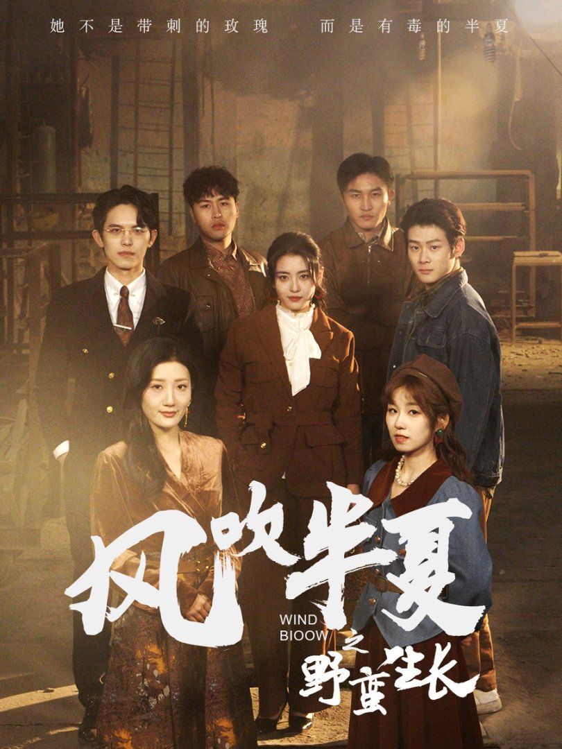 风吹半夏之野蛮生长 第2集