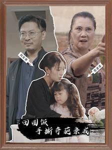 团圆饭手撕奇葩亲戚 第21-40集完结(大结局)