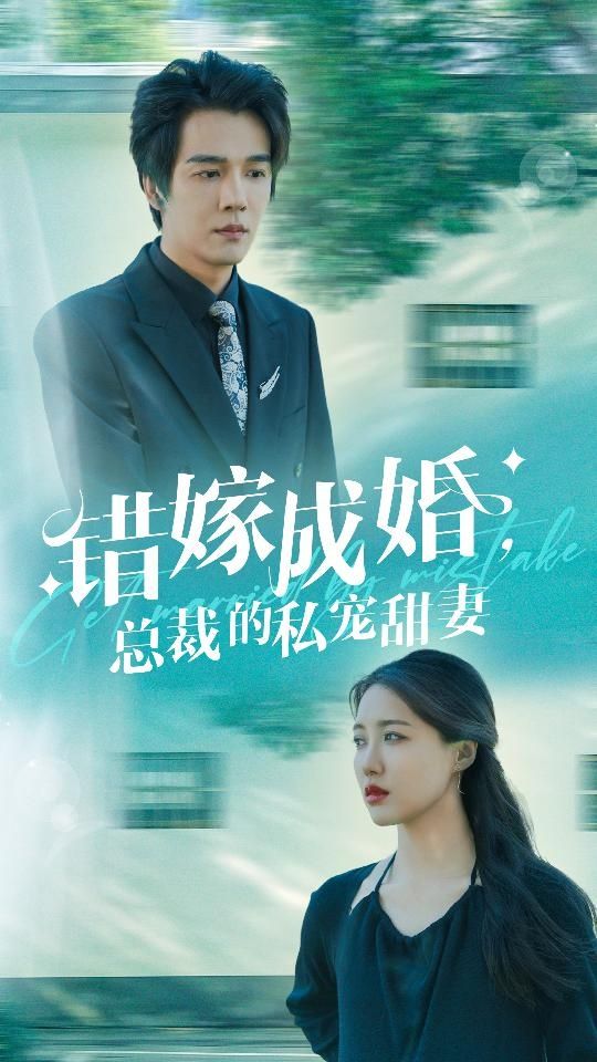 错嫁成婚总裁的私宠甜妻 长篇(大结局)