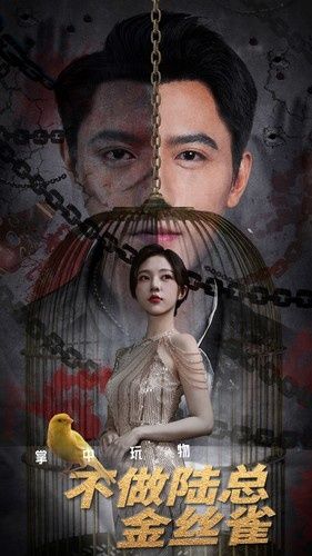 掌中玩物不做陆总金丝雀 第12集