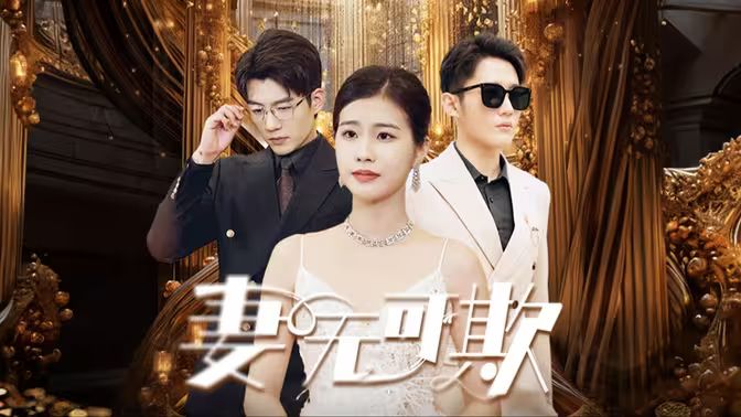 妻无可欺 第41-60集