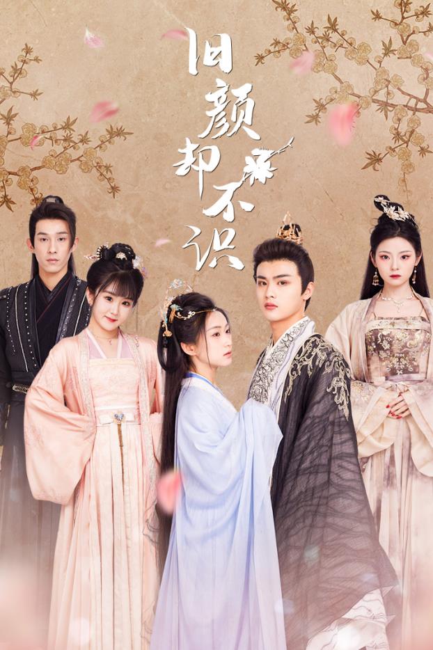 旧颜却不识 第12集